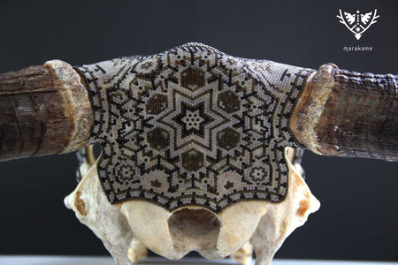 牛の頭蓋骨のウイチョルアート - グレートウェキシカ - ウイチョルアート - マラカメ
