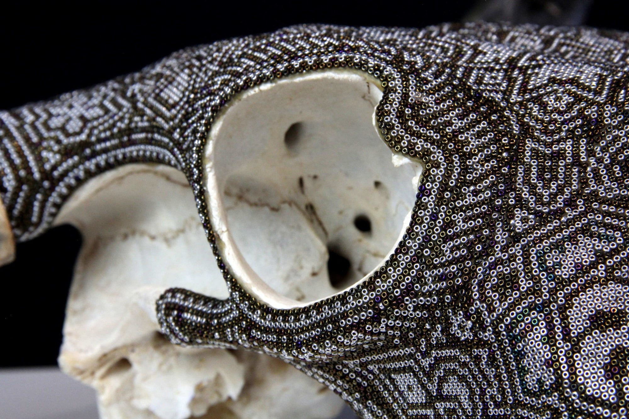 Cow Skull Huichol Art - Hikuri I - Huichol Art - Marakame