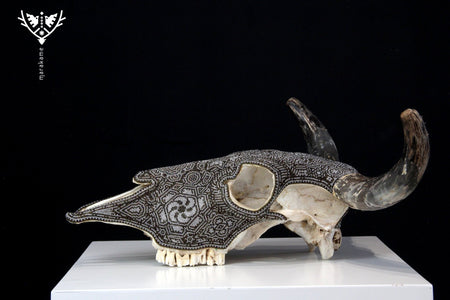 Cow Skull Huichol Art - Hikuri I - Huichol Art - Marakame