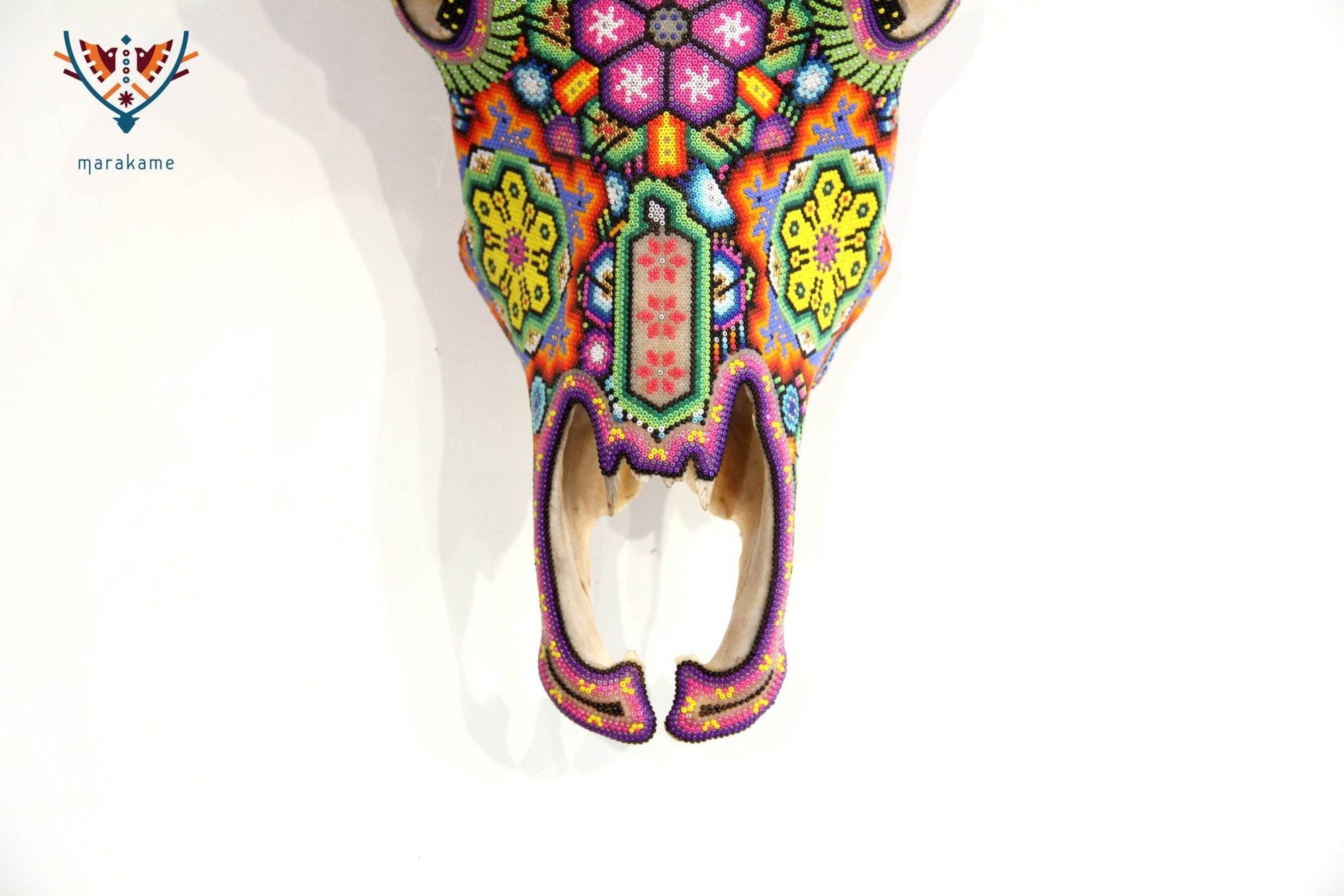 Crâne de vache Huichol Art - Hikuritame - Huichol Art - Marakame