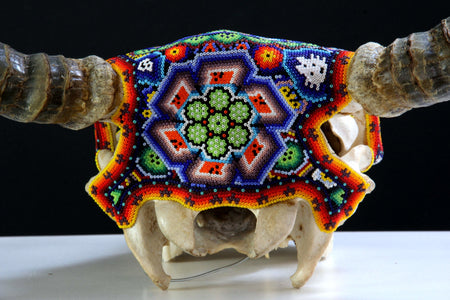 Cow skull Huichol art - iku maxa - Huichol art - Marakame