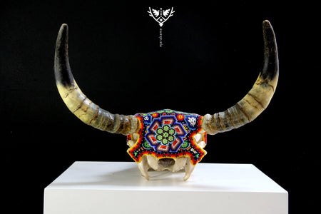 Cow skull Huichol art - iku maxa - Huichol art - Marakame