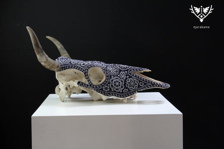 Cow Skull Huichol Art - Jícuri - Huichol Art - Marakame