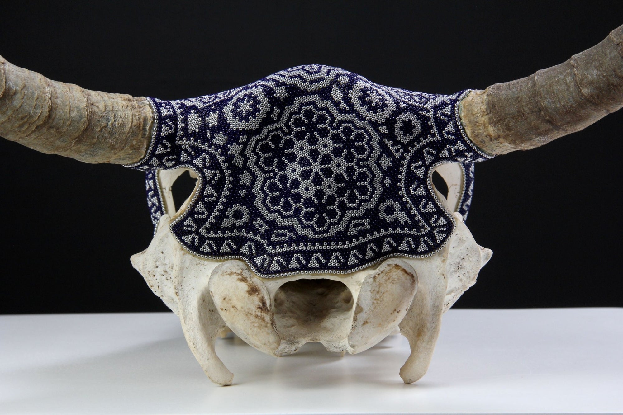 Cow Skull Huichol Art - Jícuri - Huichol Art - Marakame