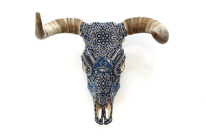 Cráneo de vaca Arte Huichol - maxa ewi I - Arte Huichol - Marakame