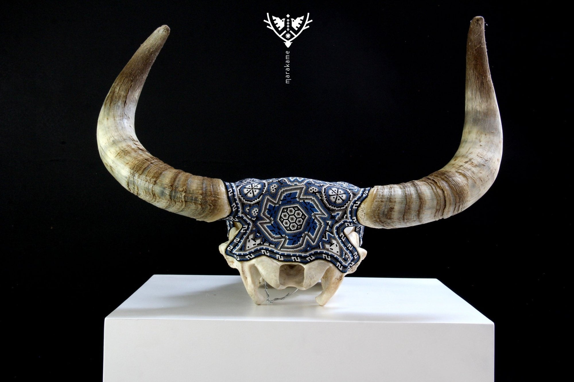 Crâne de vache Art Huichol - maxa ewi I - Art Huichol - Marakame