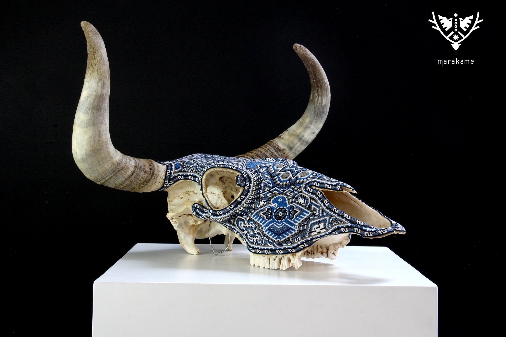 牛の頭蓋骨 ウイチョル アート - maxa ewi I - ウイチョル アート - マラカメ