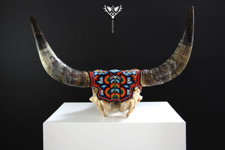 Teschio di mucca Arte Huichol - Maxa kuaxi - Arte Huichol - Marakame