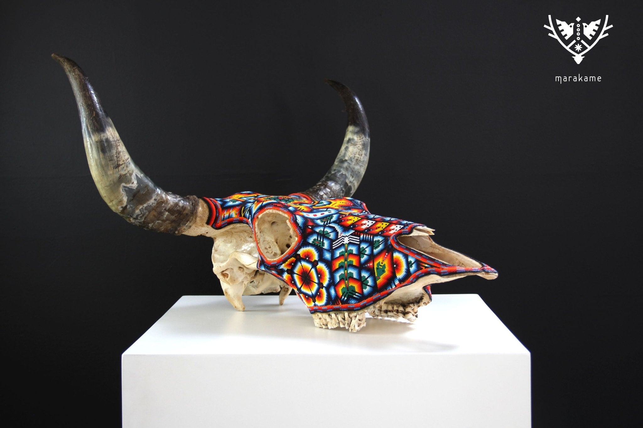 牛の頭蓋骨のウイチョルアート - Maxa kuaxi - ウイチョルアート - マラカメ