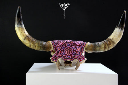 Crâne de vache Art Huichol - Maye Hikuri - Art Huichol - Marakame