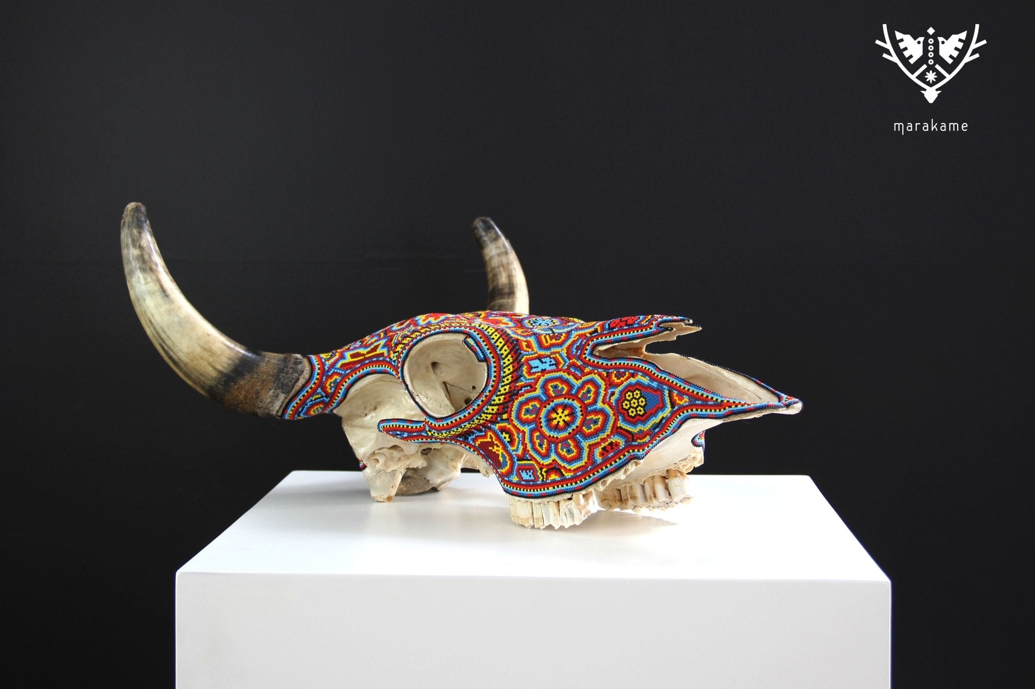 牛の頭蓋骨のウイチョルアート - ヒクリのメイズ - ウイチョルアート - マラカメ