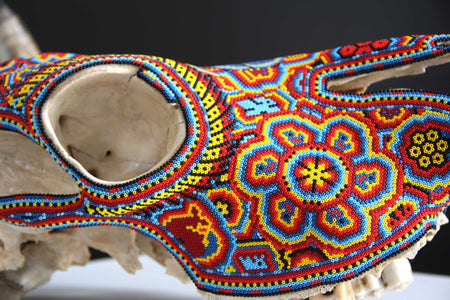 Arte Huichol del teschio di mucca - Mayes in Hikuri - Arte Huichol - Marakame