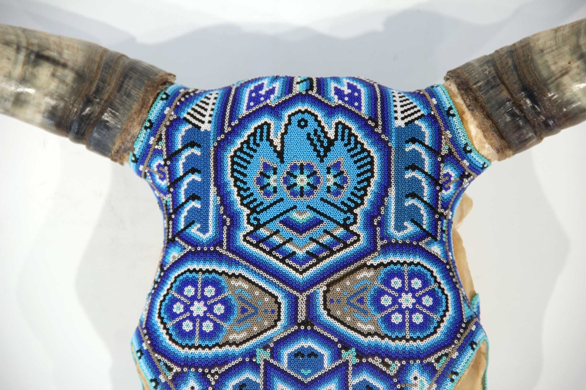 Crâne de vache Huichol Art - Muwieri yuawi - Huichol Art - Marakame