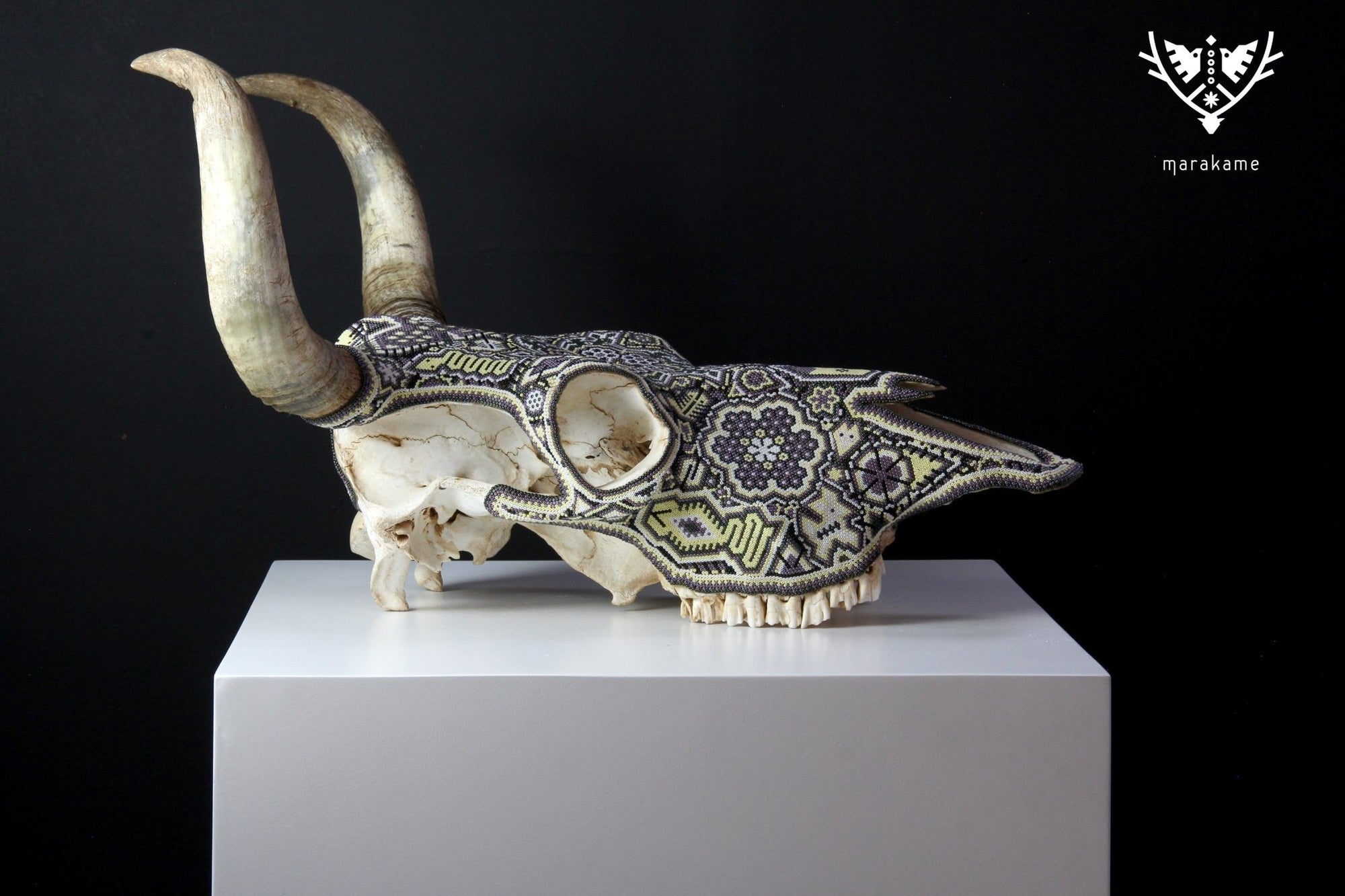 Crâne de vache Art Huichol - Nierika miire II - Art Huichol - Marakame
