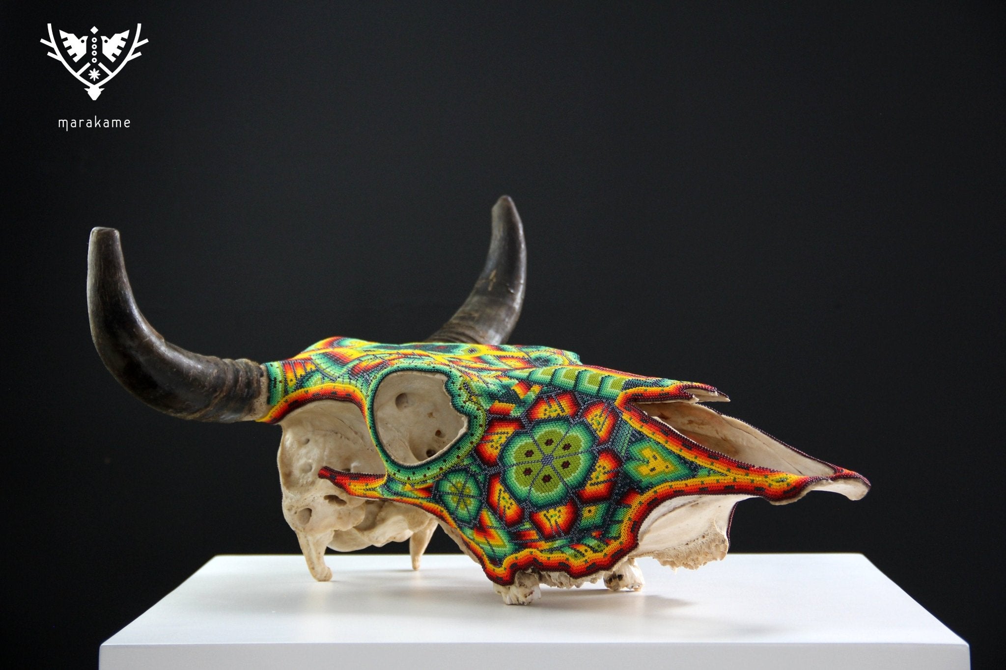 牛の頭蓋骨 ウイチョル族アート - Niwetsika - ウイチョル族アート - マラカメ