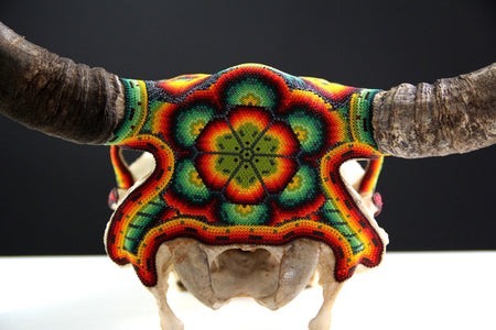 Cráneo de vaca Arte Huichol - Niwetsika - Arte Huichol - Marakame