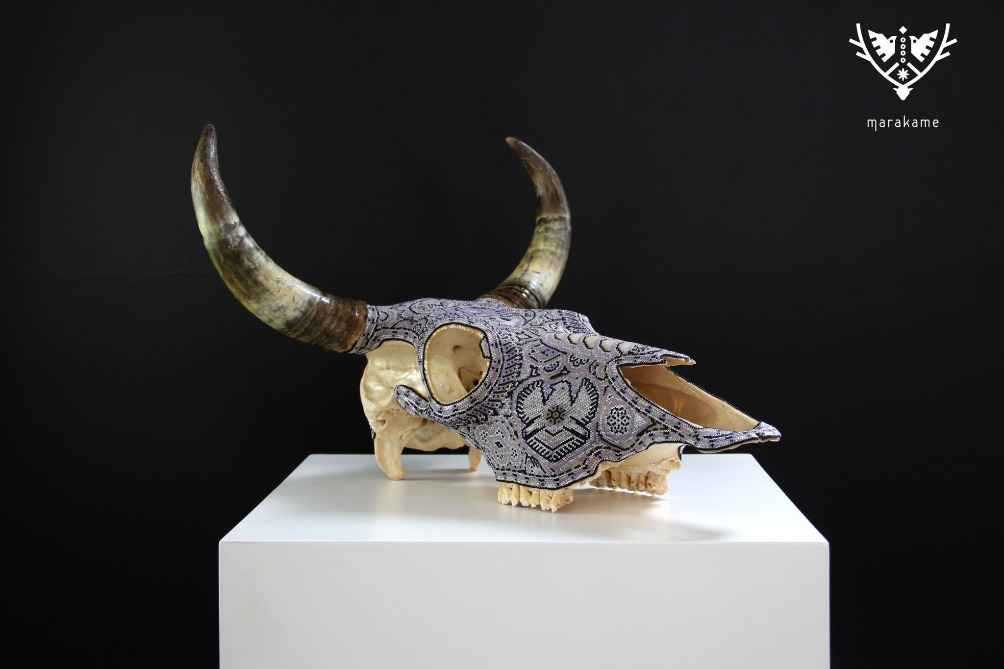 牛の頭蓋骨のウイチョル アート - タマツィ カウユマリ - ウイチョル アート - マラカメ