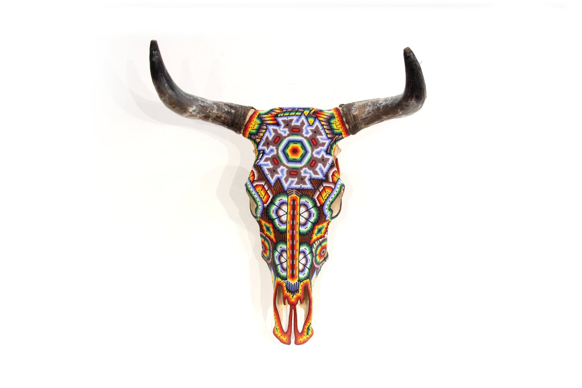 牛の頭蓋骨のウイチョル アート - タテイ ニアアリワメ - ウイチョル アート - マラカメ
