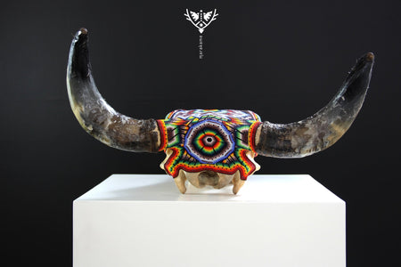 Teschio di mucca Arte Huichol - Tatéi Niaariwame - Arte Huichol - Marakame