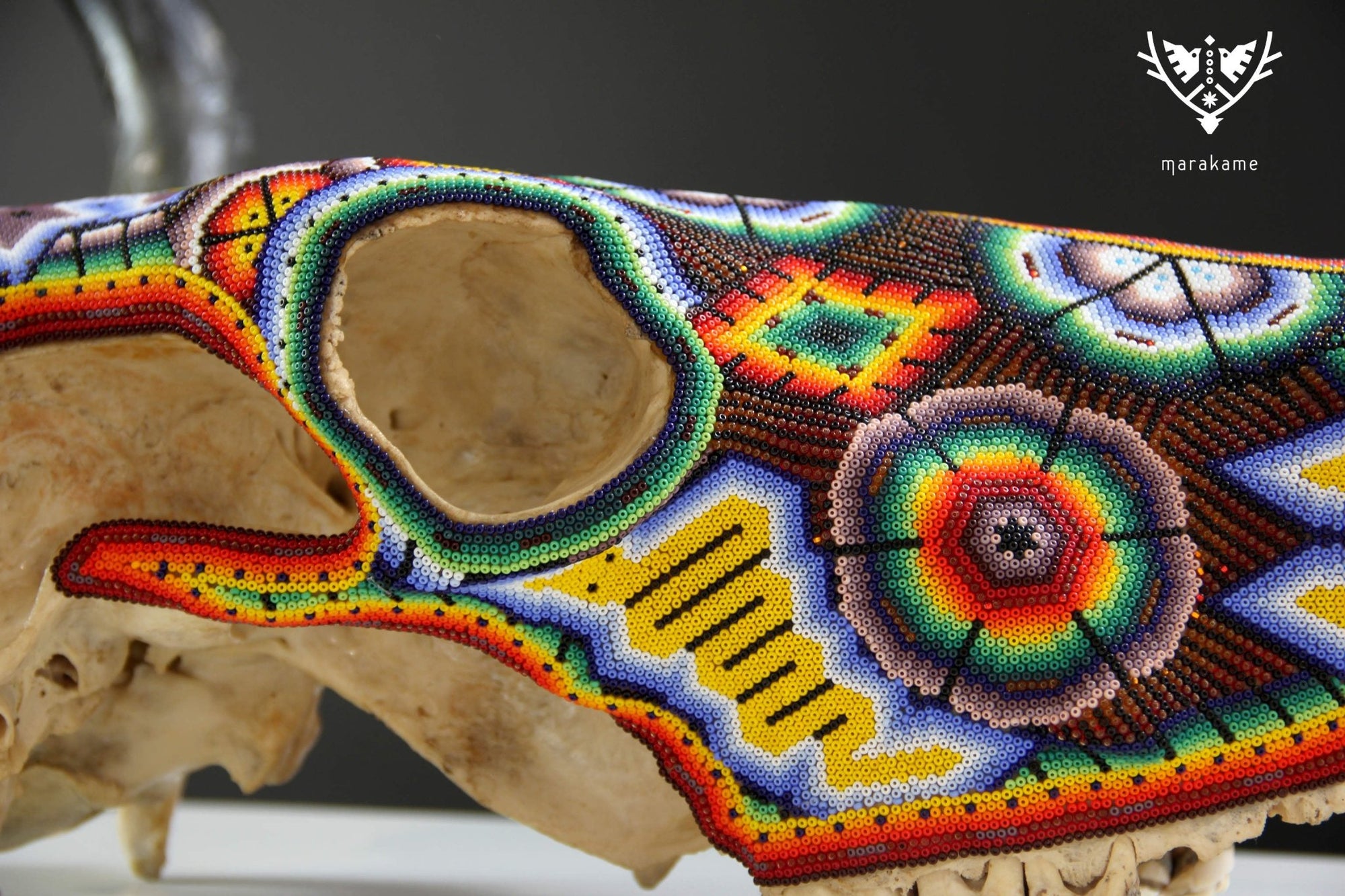 Cráneo de vaca Arte Huichol - Tatéi Niaariwame - Arte Huichol - Marakame