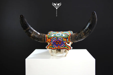Crâne de vache Art Huichol - Tatéi werika wimari - Art Huichol - Marakame
