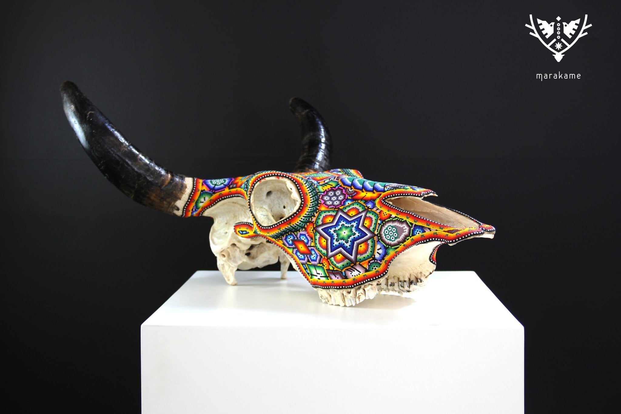 牛の頭蓋骨のウイチョル アート - Tatéi werika wimari - ウイチョル アート - マラカメ
