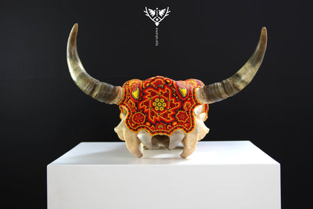 Crâne de vache Huichol Art - Tatewari - Huichol Art - Marakame