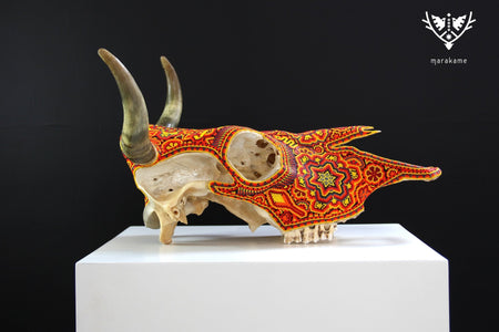 Teschio di mucca Arte Huichol - Tatewari - Arte Huichol - Marakame