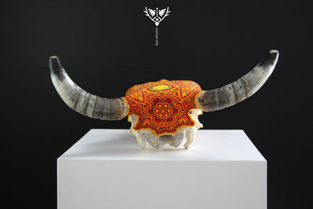 Teschio di mucca Arte Huichol - Tau Tatewari - Arte Huichol - Marakame