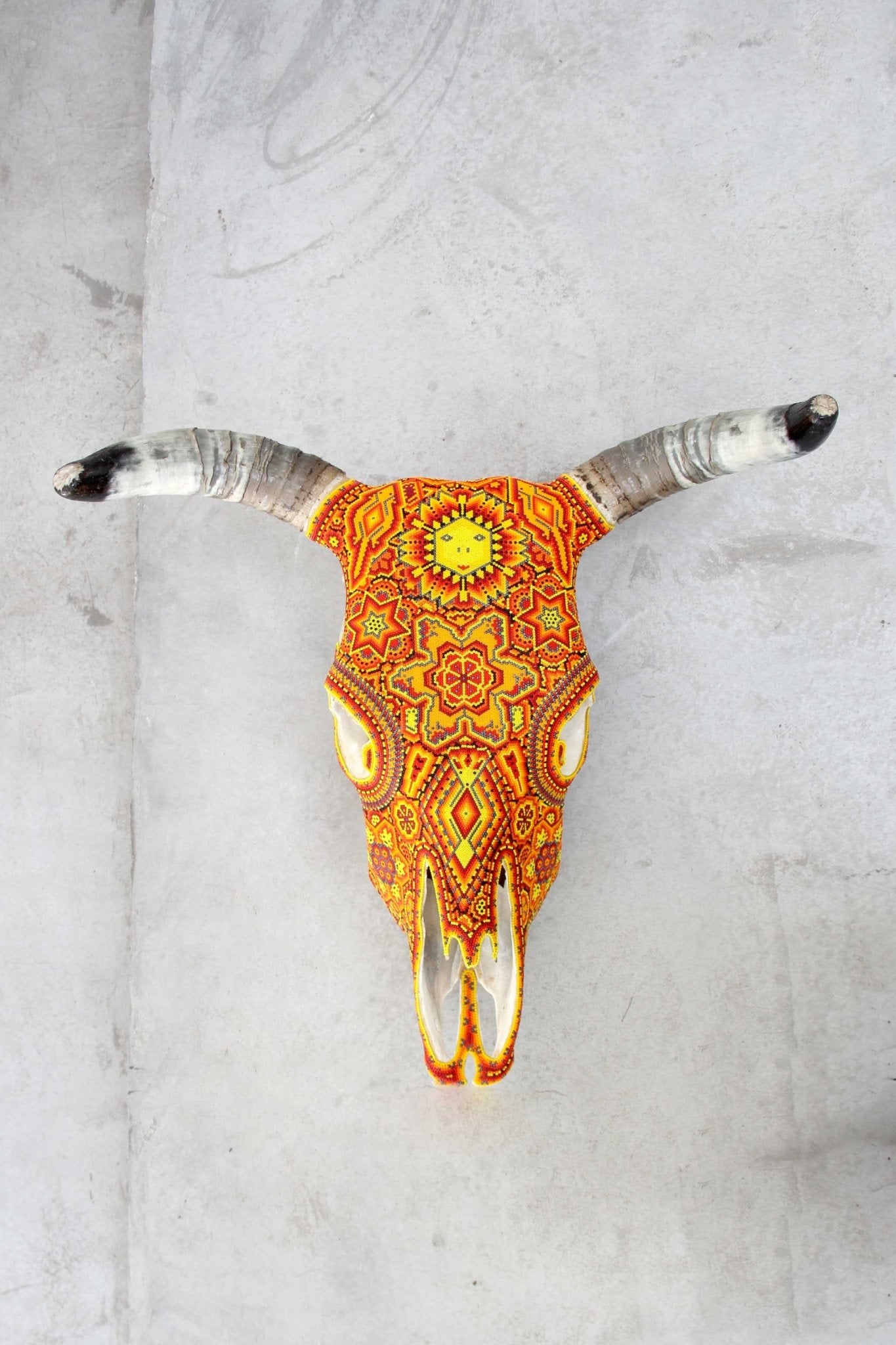 Teschio di mucca Arte Huichol - Tau Tatewari - Arte Huichol - Marakame