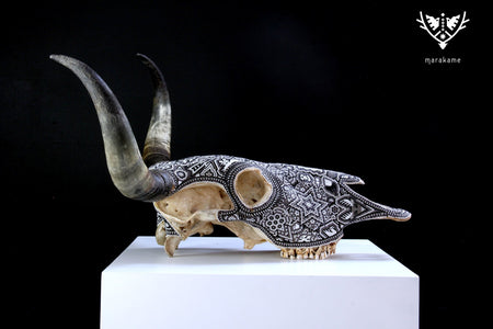 Cow Skull Huichol Art - Teká - Huichol Art - Marakame