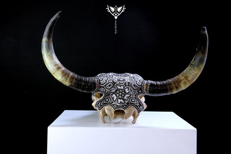 Cow Skull Huichol Art - Teká - Huichol Art - Marakame
