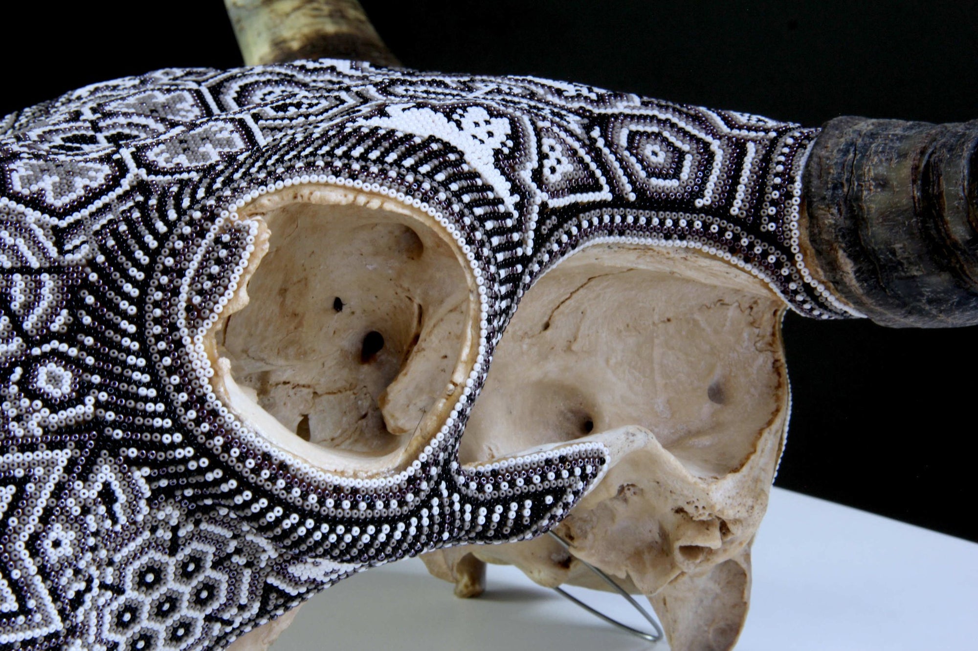 Cow Skull Huichol Art - Teká - Huichol Art - Marakame