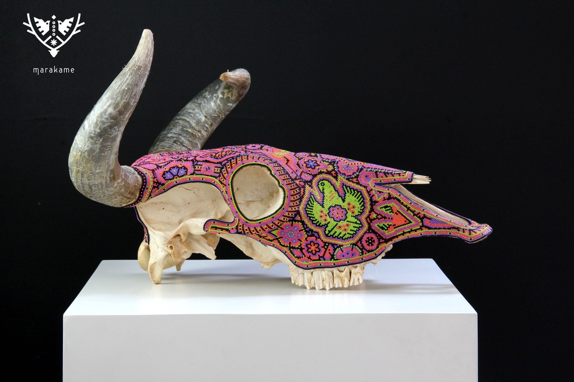 Kuhschädel Huichol Art - Tseriakame - Huichol Art - Marakame
