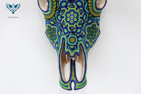 Crâne de vache Art Huichol - tuutú nusa - Art Huichol - Marakame