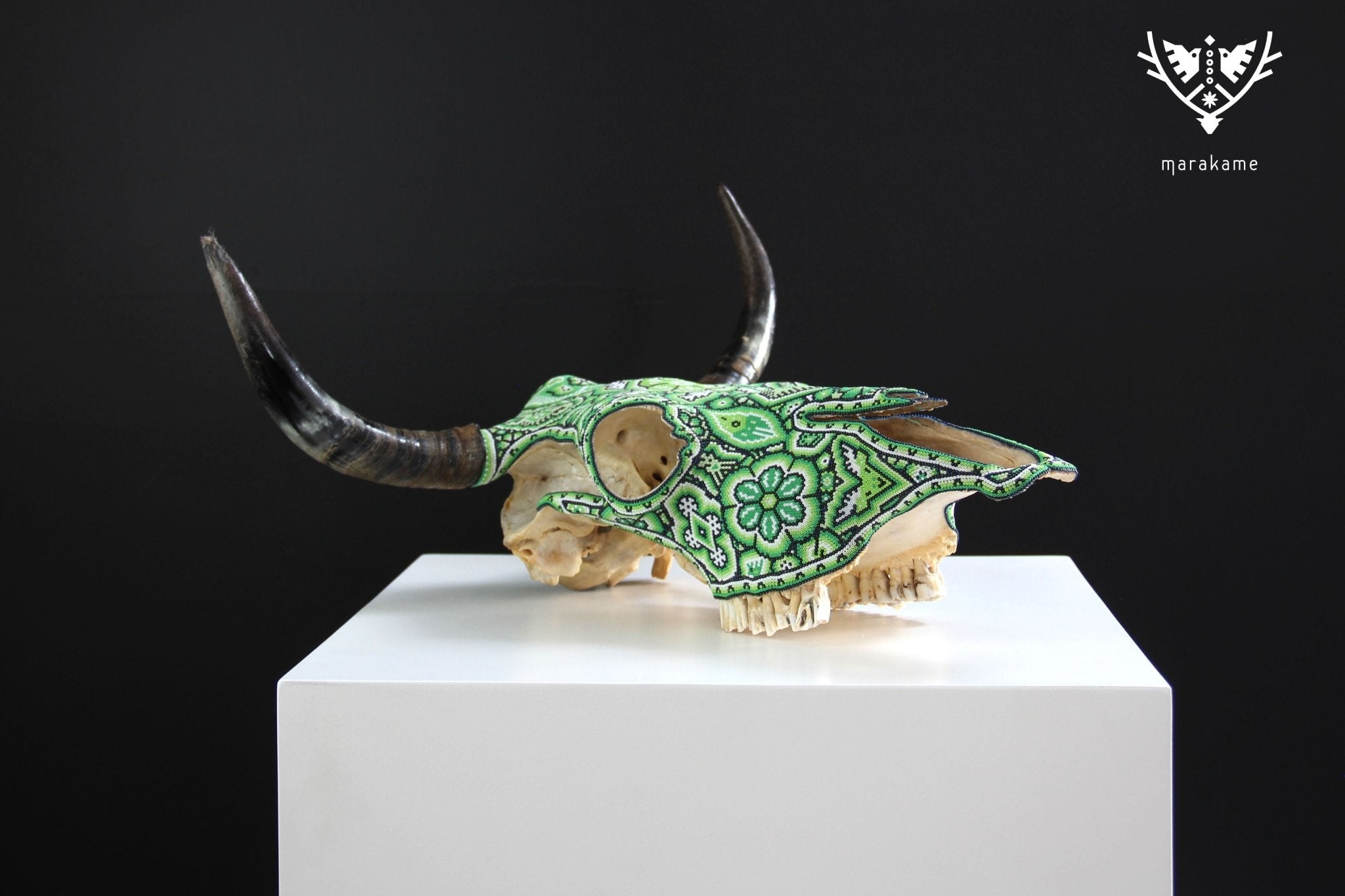牛の頭蓋骨ウイチョルアート - Tuutu wexik+a - ウイチョルアート - マラカメ