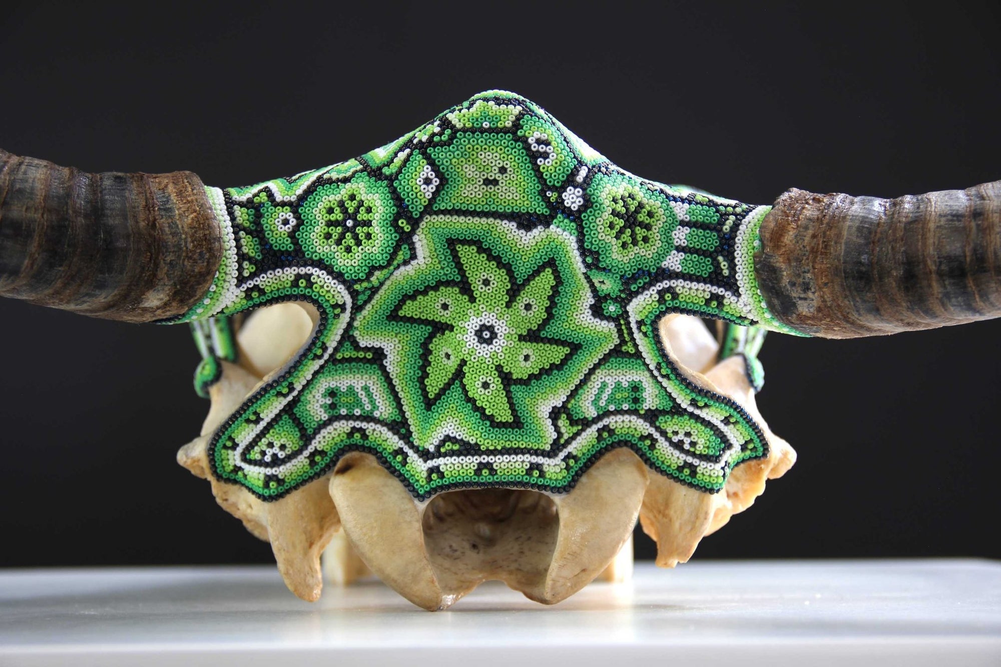 Teschio di mucca Arte Huichol - Tuutu wexik+a - Arte Huichol - Marakame