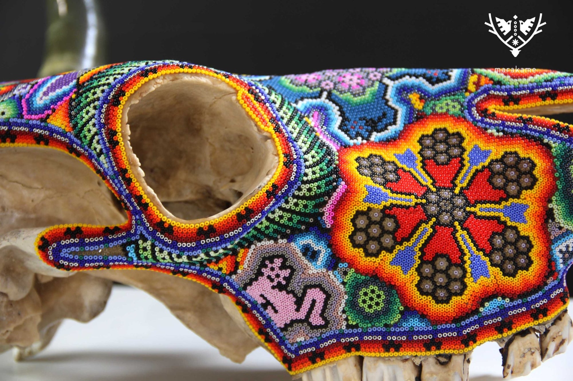 Teschio di mucca Arte Huichol - Wa x+rikiya - Arte Huichol - Marakame