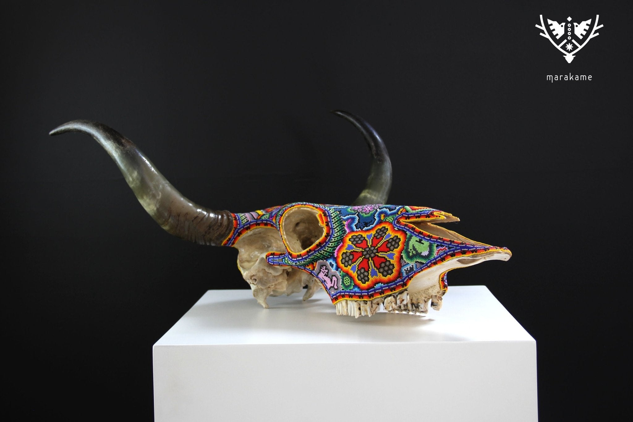 牛の頭蓋骨ウイチョルアート - Wa x+rikiya - ウイチョルアート - マラカメ