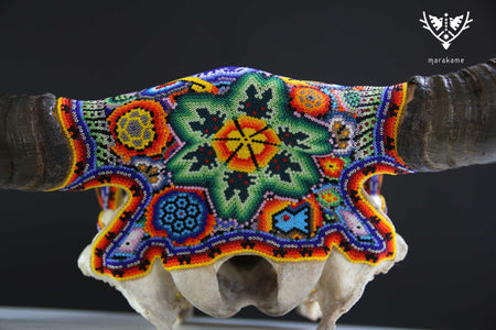 Cráneo de vaca Arte Huichol - Wa x+rikiya - Arte Huichol - Marakame