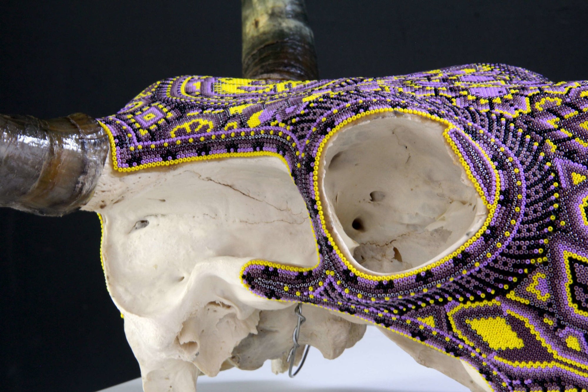 Cow Skull Huichol Art - Yellow Werika - Huichol Art - Marakame