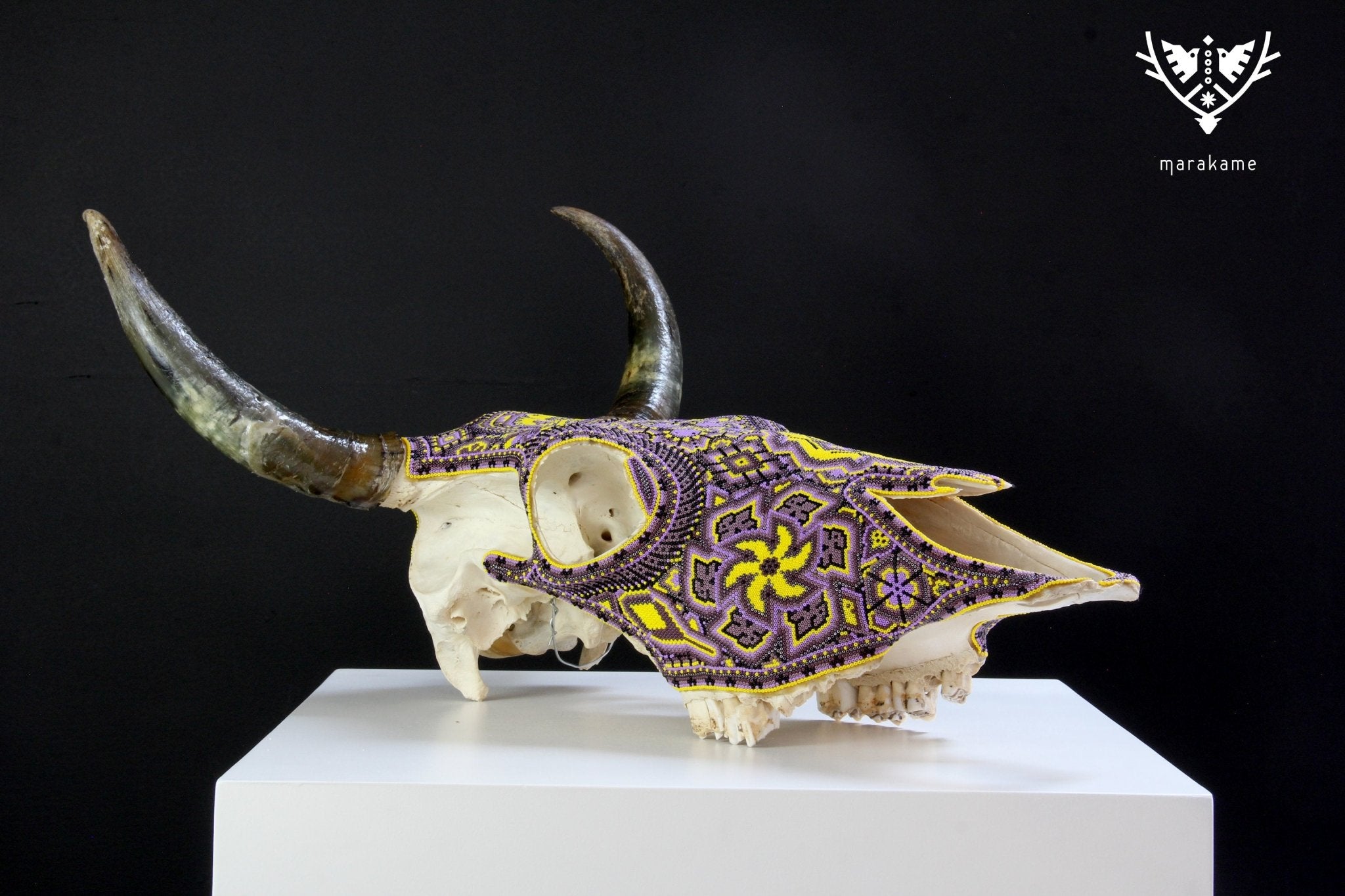 牛の頭蓋骨 ウイチョルアート - イエローウェリカ - ウイチョルアート - マラカメ