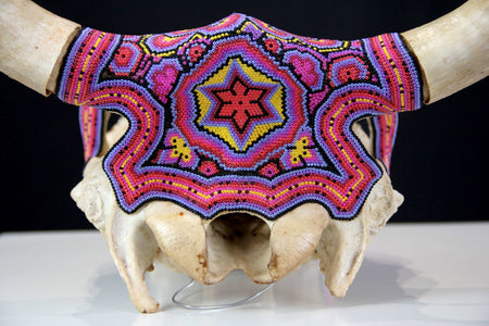 Crâne de vache Art Huichol - Wexik+a mutinuiwax+ - Art Huichol - Marakame