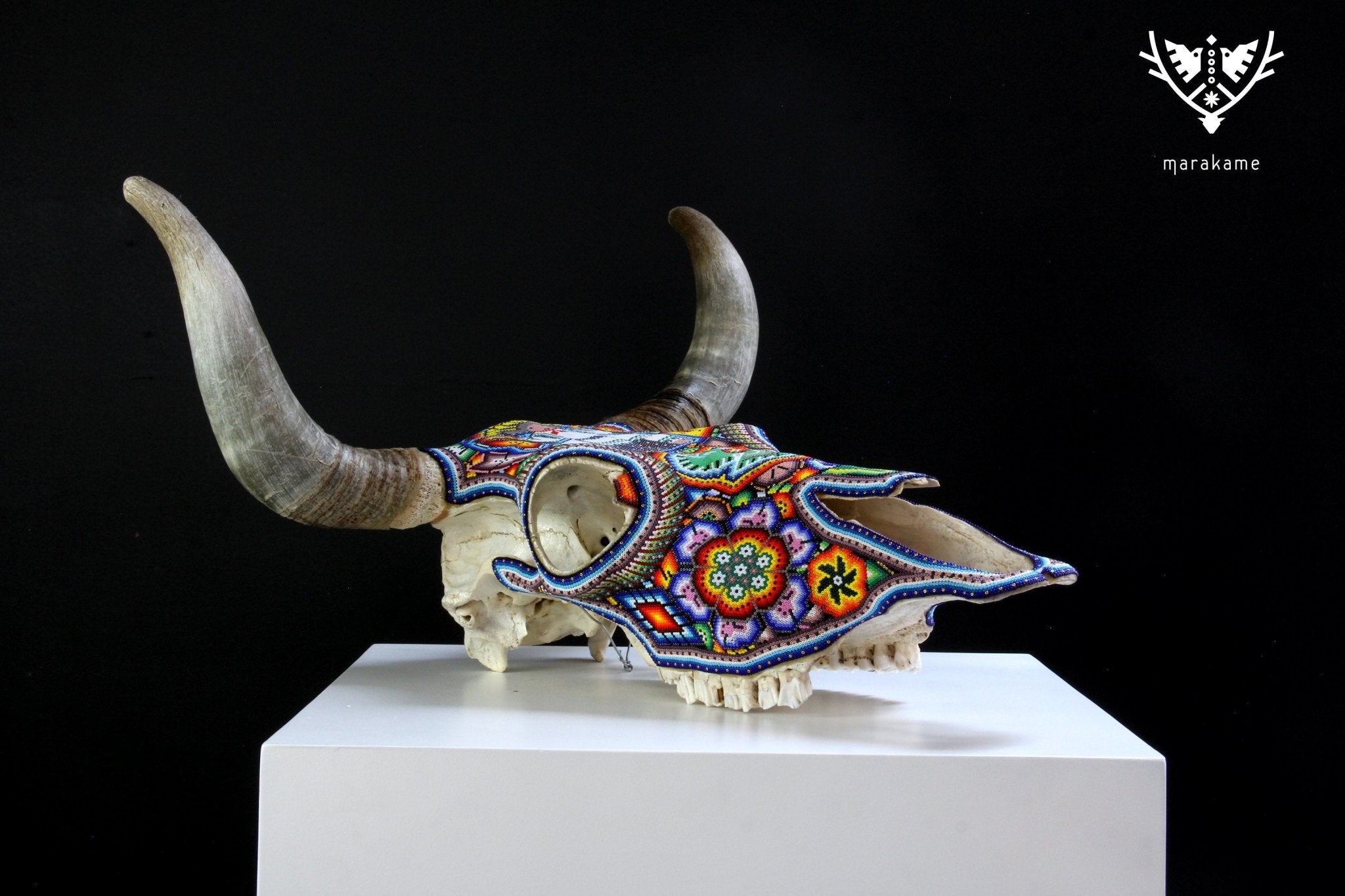 Teschio di mucca Arte Huichol - grande xupurero - Arte Huichol - Marakame