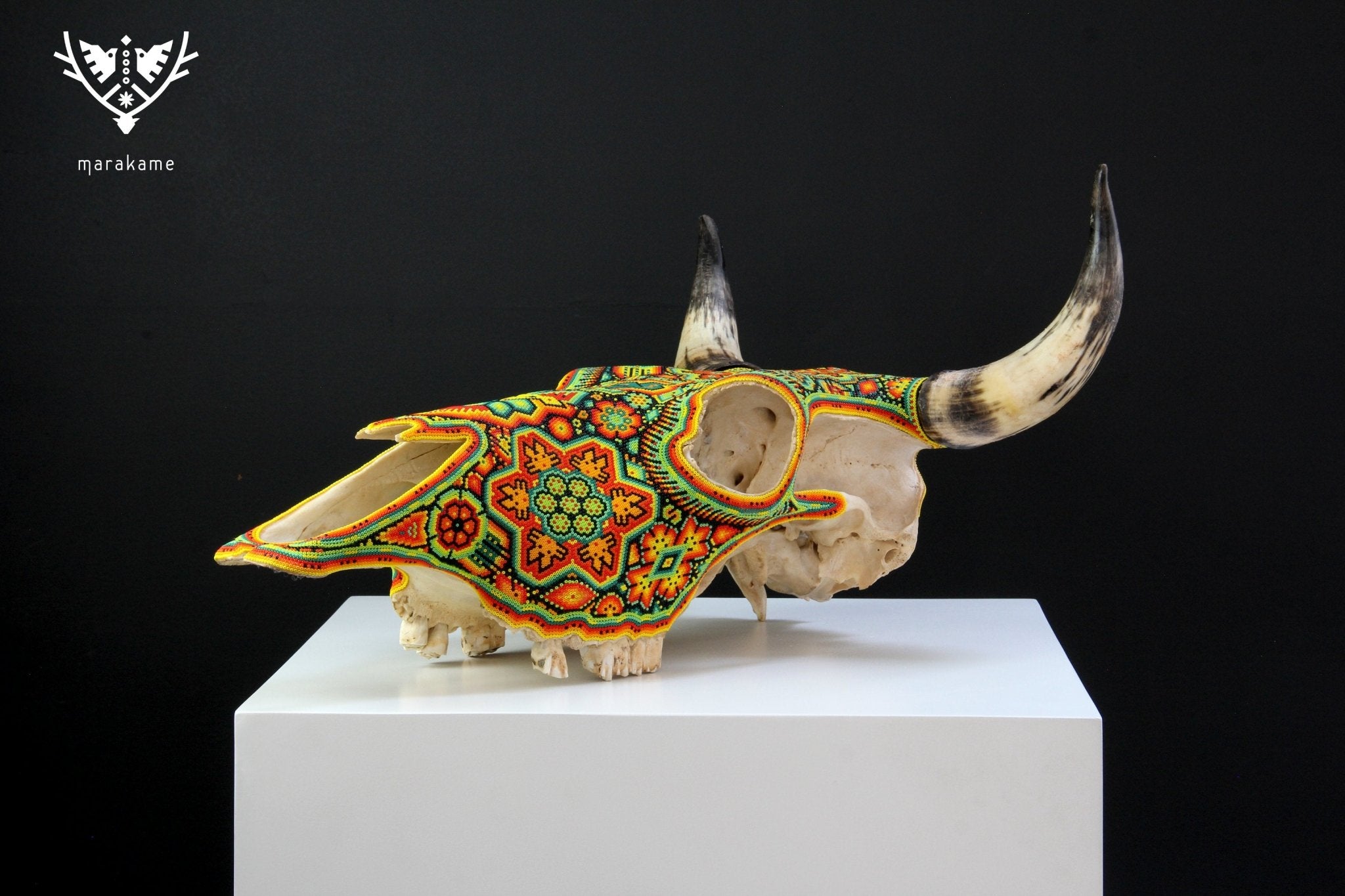 Crâne de vache Art Huichol - Xurawe I - Art Huichol - Marakame