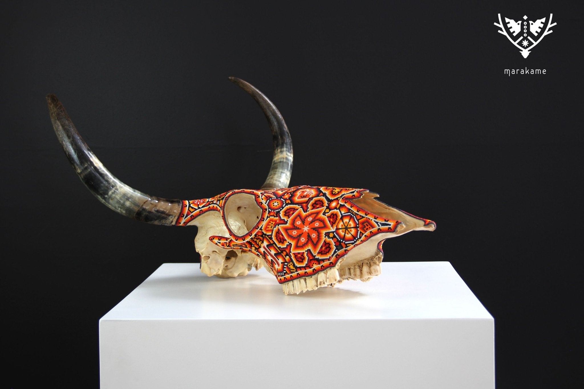 Crâne de vache Huichol Art - Xurawe Tatewari - Huichol Art - Marakame