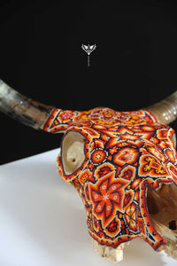 牛の頭蓋骨のウイチョルアート - シュラウェ・タテワリ - ウイチョルアート - マラカメ