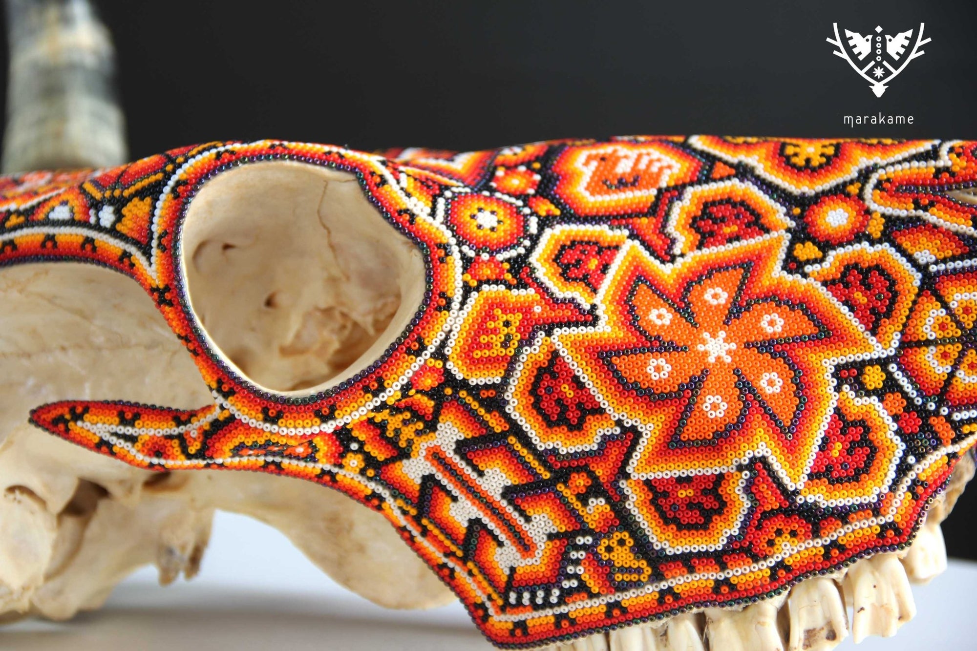Cráneo de vaca Arte Huichol - Xurawe Tatewari - Arte Huichol - Marakame