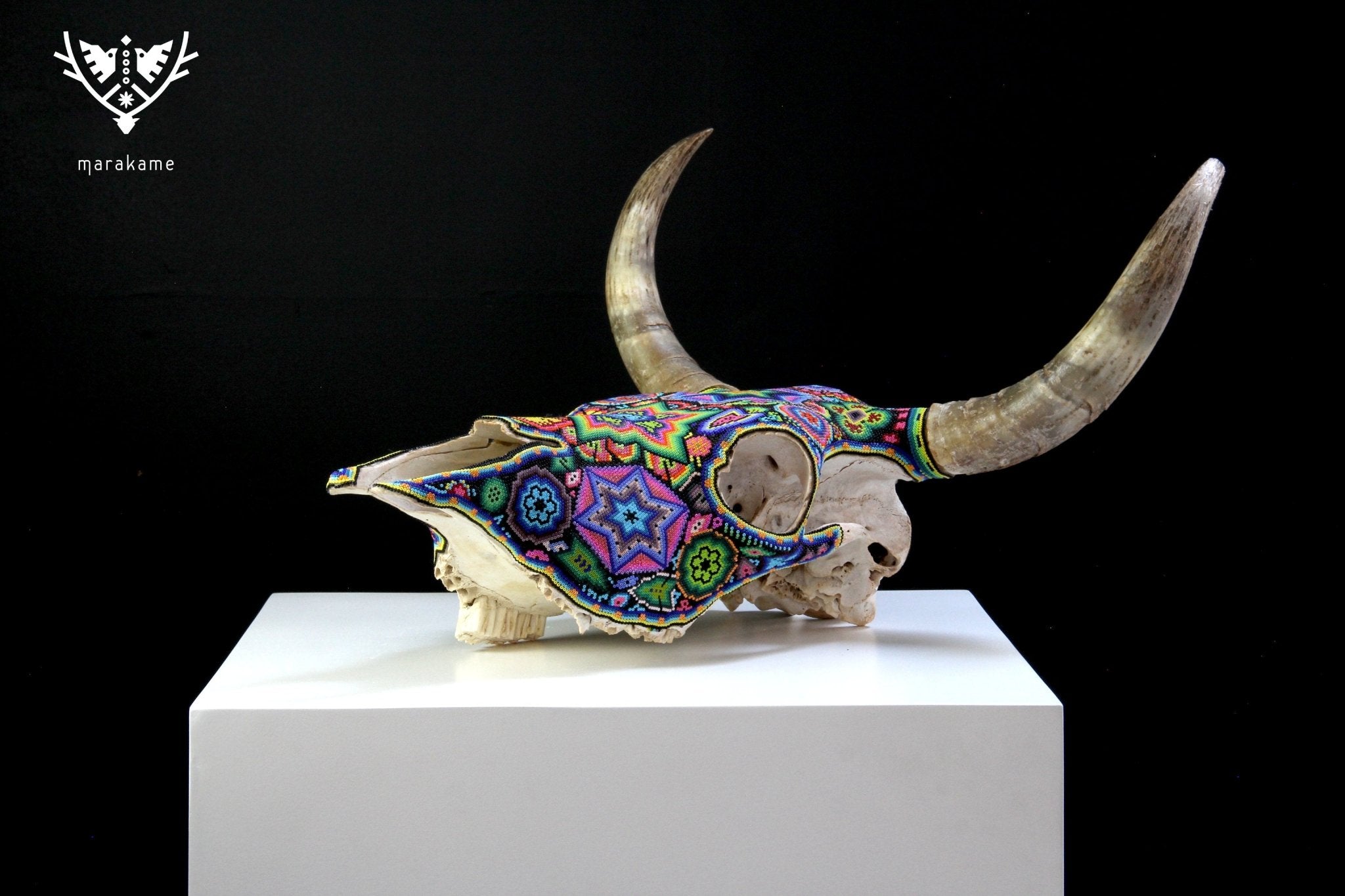 Cranio di mucca Huichol Art - Xurawe temai - Huichol Art - Marakame