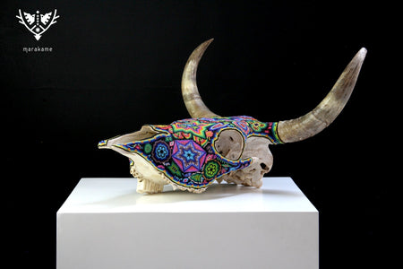 Crâne de vache Art Huichol - Xurawe temai - Art Huichol - Marakame
